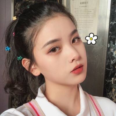 驯龙战记单机游戏下载